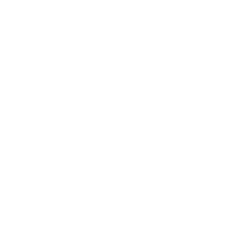 Client Centered Approach